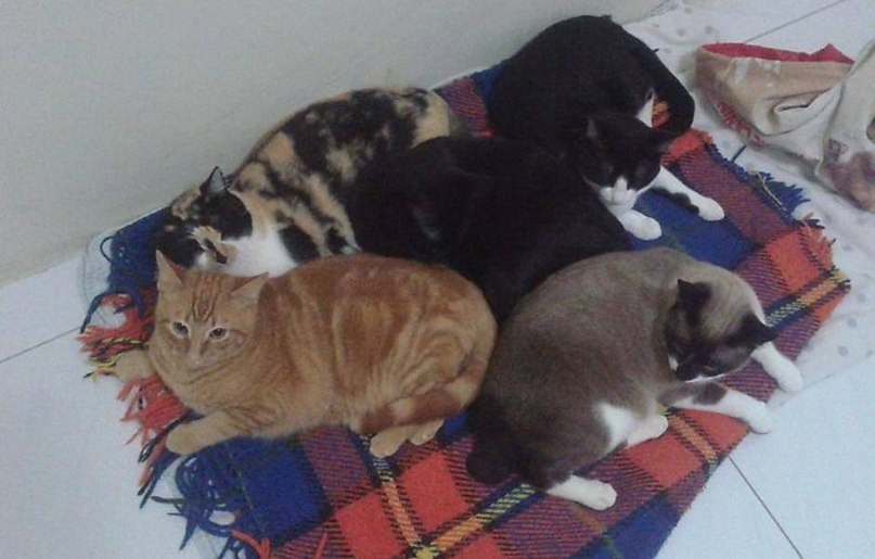  - ,        .   ,     ... - 8