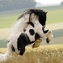  Nta-., - -  23  2016   ,      .