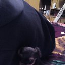  , , 37  -  11  2015   !)