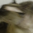 ���� ������, ���������, 45 ��� - ��������� 11 ������ 2016 � ������ ������