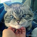 ���� Sergey, ������, 47 ��� - ��������� 29 �������� 2015