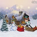 ���� �������, ����� - ��������� 28 ������� 2015 � ������ �Tropikania�