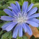 ���� ����� �, �����, 55 ��� - ��������� 14 ������� 2015 � ������ ���� ������