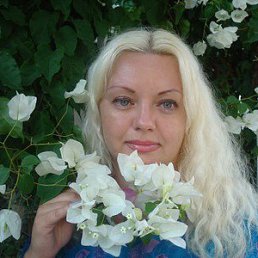 ���� ����, ������, 43 ���� - ��������� 8 ������� 2016