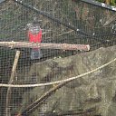 ���� �����, �����-���������, 59 ��� - ��������� 26 ������� 2015 � ������ ������ ��������