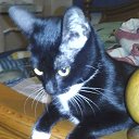 ���� ������, �����������, 55 ��� - ��������� 4 ������� 2015 � ������ ������ ��������