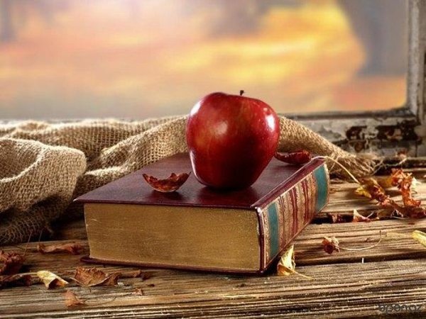 Эти строки следует перечитывать как минимум, раз в неделю! Регина Бретт в свои 90 лет составила 45 ...