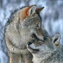 ���� ����, ������-��� - ��������� 4 ������� 2016 � ������ ������ ��������