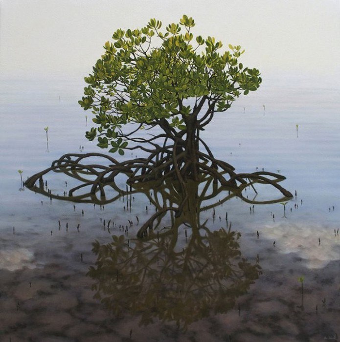      Ai Shah.    (Ai Shah)  ... - 5