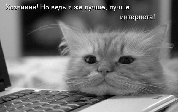    - 19  2015  12:15