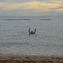 ���� ������, �������, 56 ��� - ��������� 13 ������ 2015 � ������ ��������+��������