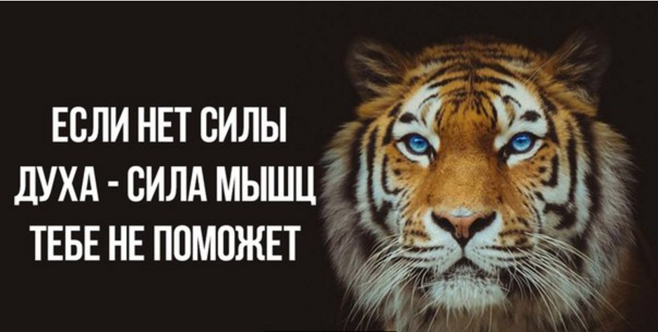 Стихи про сильных людей. Самое главное быть собой. Состояние духа. И был я в духе. Духи с запахом борща.