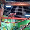 ���� �����, ��������, 47 ��� - ��������� 2 ������ 2016 � ������ ���� ����������