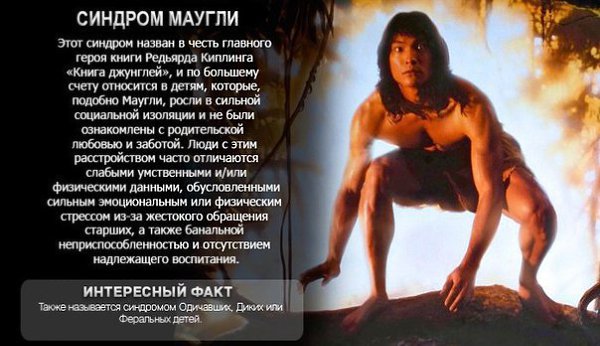 7 психических расстройств, названных в честь литературных персонажей. - 7