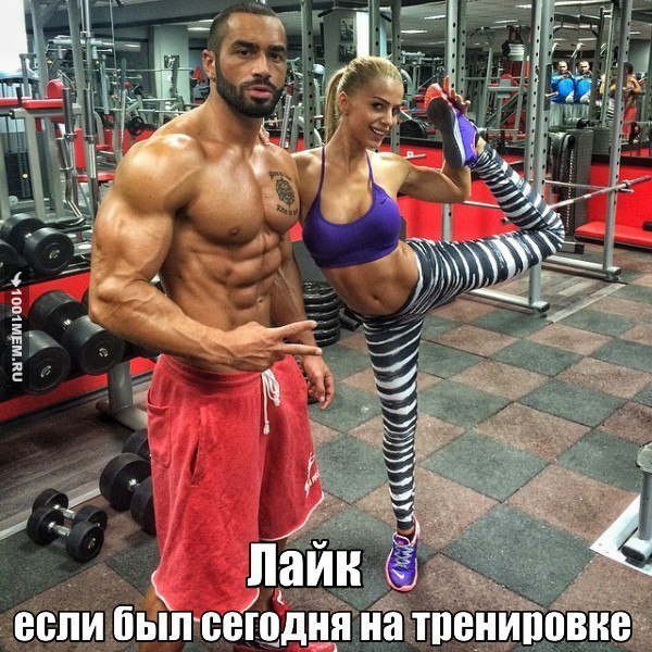  -   - 1  2016  20:11