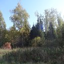 ���� Serega, ������ - ��������� 20 ������� 2015 � ������ ������ 2015�