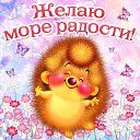 ���� �������, ����� - ��������� 25 ������� 2016 � ������ �������� ��������