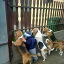 ���� ������, ������ - ��������� 14 ������ 2016 � ������ ���� ����������