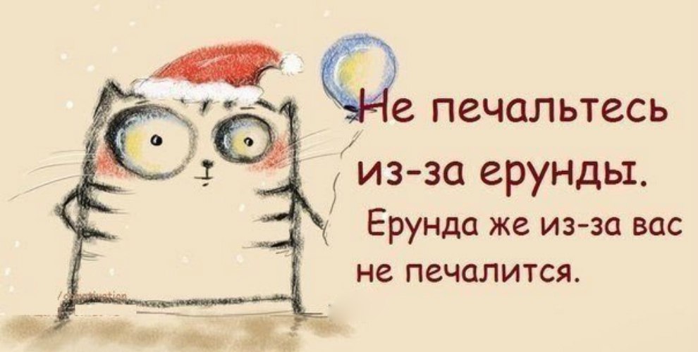  Ѩ - 12  2015  19:41