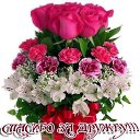 ���� �����, ���������� - ��������� 8 ������� 2015 � ������ ������ ��������