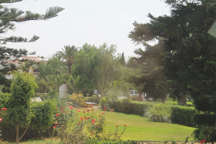 �����, Novostar Palmyra 3*, 2014 - 5
