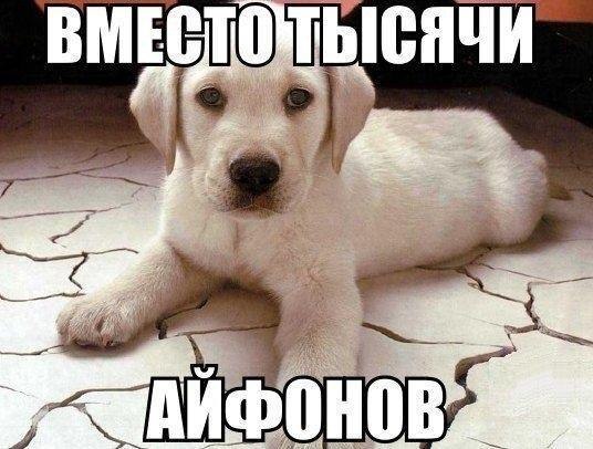    :D - 10  2015  19:51