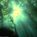 ���� Ilya1557, ������, 43 ���� - ��������� 6 ������� 2016 � ������ ���� ����������