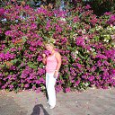 ���� �������, ������� - ��������� 20 ������� 2015 � ������ ���� ����������