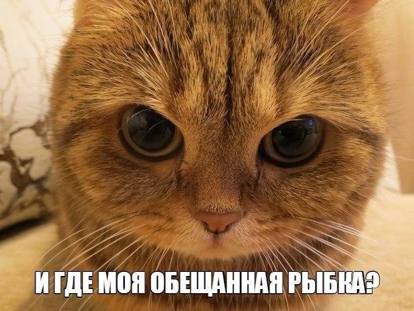       - 15  2015  19:53