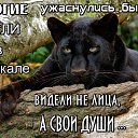 ���� ***����***, ��������� - ��������� 15 ������ 2015 � ������ ������ �������ɻ