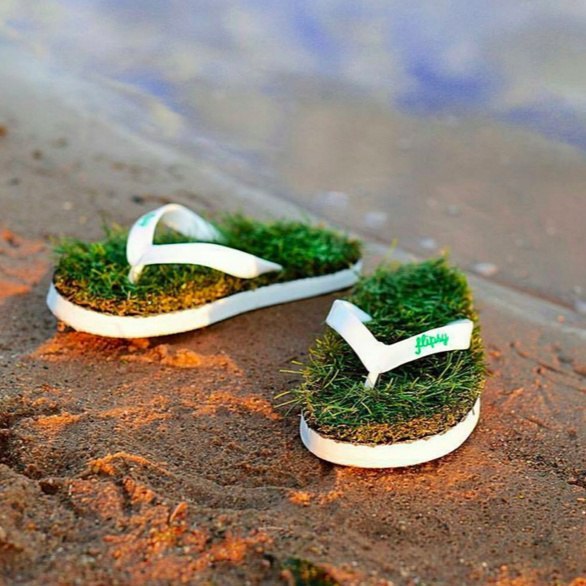       ,          ! ... - 2