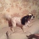 ��� ������ �����, ������ ��������