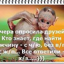 ���� �����, �������� - ��������� 26 ������� 2015 � ������ ������ ��������