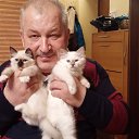 ���� ������, �����������, 62 ���� - ��������� 24 ������� 2015