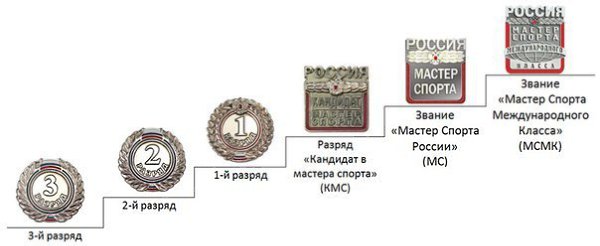 Какой у тебя разряд или звание? И по какому виду спорта?
