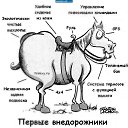 ���� Jonny .D., �����������, 53 ���� - ��������� 7 ������� 2016 � ������ ������ ��������