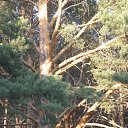 ���� ���������, ������, 55 ��� - ��������� 23 ������ 2015 � ������ ��������, ������ ��������