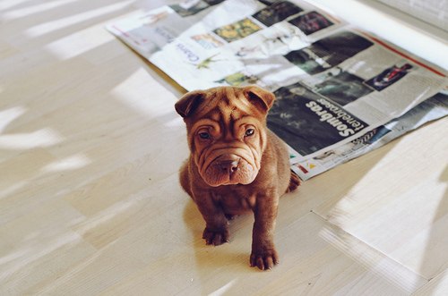 �������� ����� ��� ��� �� ���� �� ����� ���� - ������������ �� ��� ������ "�������� �����" ��������� - ��� ��� ����������: http://vk.com/creationoflife - 1 ������� 2015 � 09:42