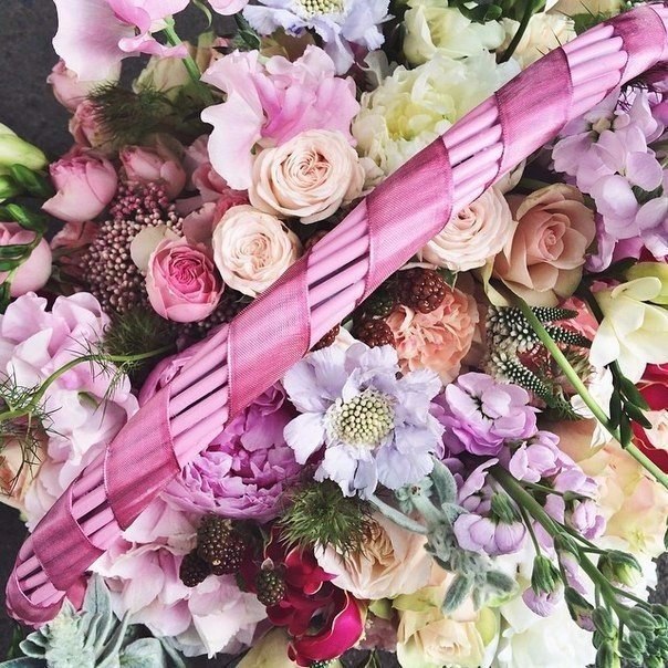 ���� � ������� - 21 ������� 2015 � 03:29 - 4