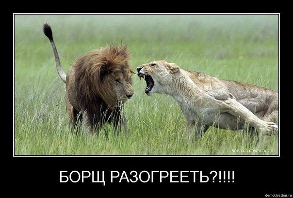   ,    https://fotostrana.ru/away?to=/sl/olP !!!