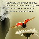 ���� ����, ��������, 68 ��� - ��������� 4 ������ 2015 � ������ ������ �����
