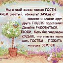  , , 83  -  21  2016    Ȼ