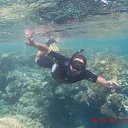 ���� ���������, ������-���, 41 ��� - ��������� 26 �������� 2015 � ������ ���� ����������