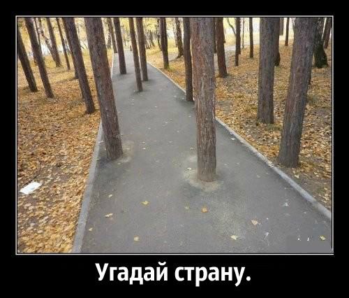 -  - 6  2016  16:49