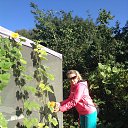 ���� ����@, �������� - ��������� 26 �������� 2015 � ������ ���� ����������