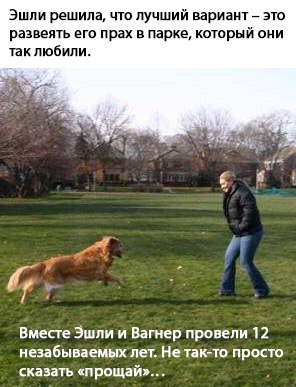   -       .    ,  ...