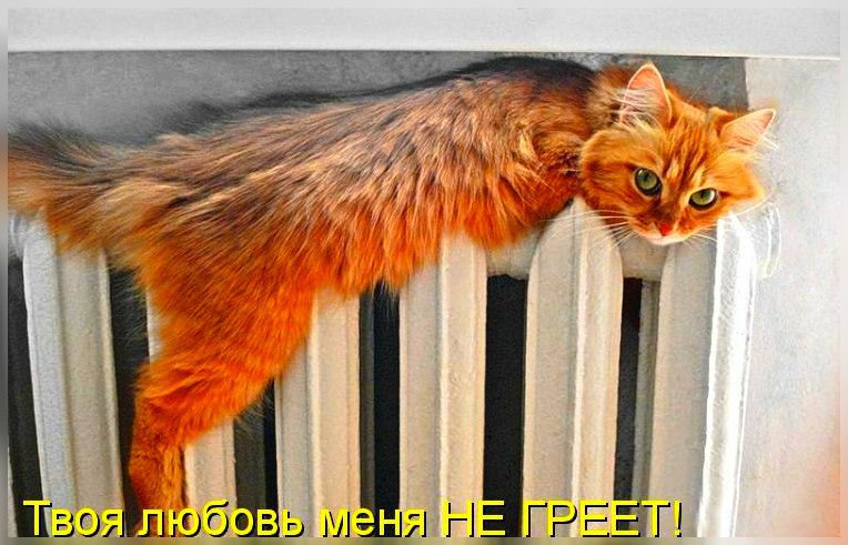       - 1  2016  23:49