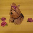  , , 51  -  22  2015    . )   .