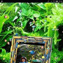 ���� ������, ������������, 48 ��� - ��������� 17 ������ 2016 � ������ ���� ����������