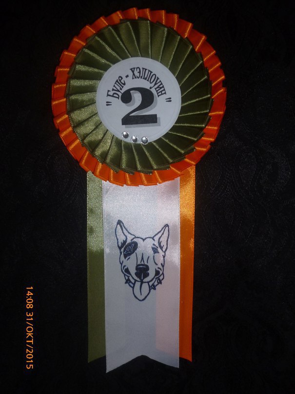 •°”*°• Наградные розетки •°*”°• https://fotostrana.ru/away?to=/sl/SDTЦеремонии награждения на выставках собак ... - 2